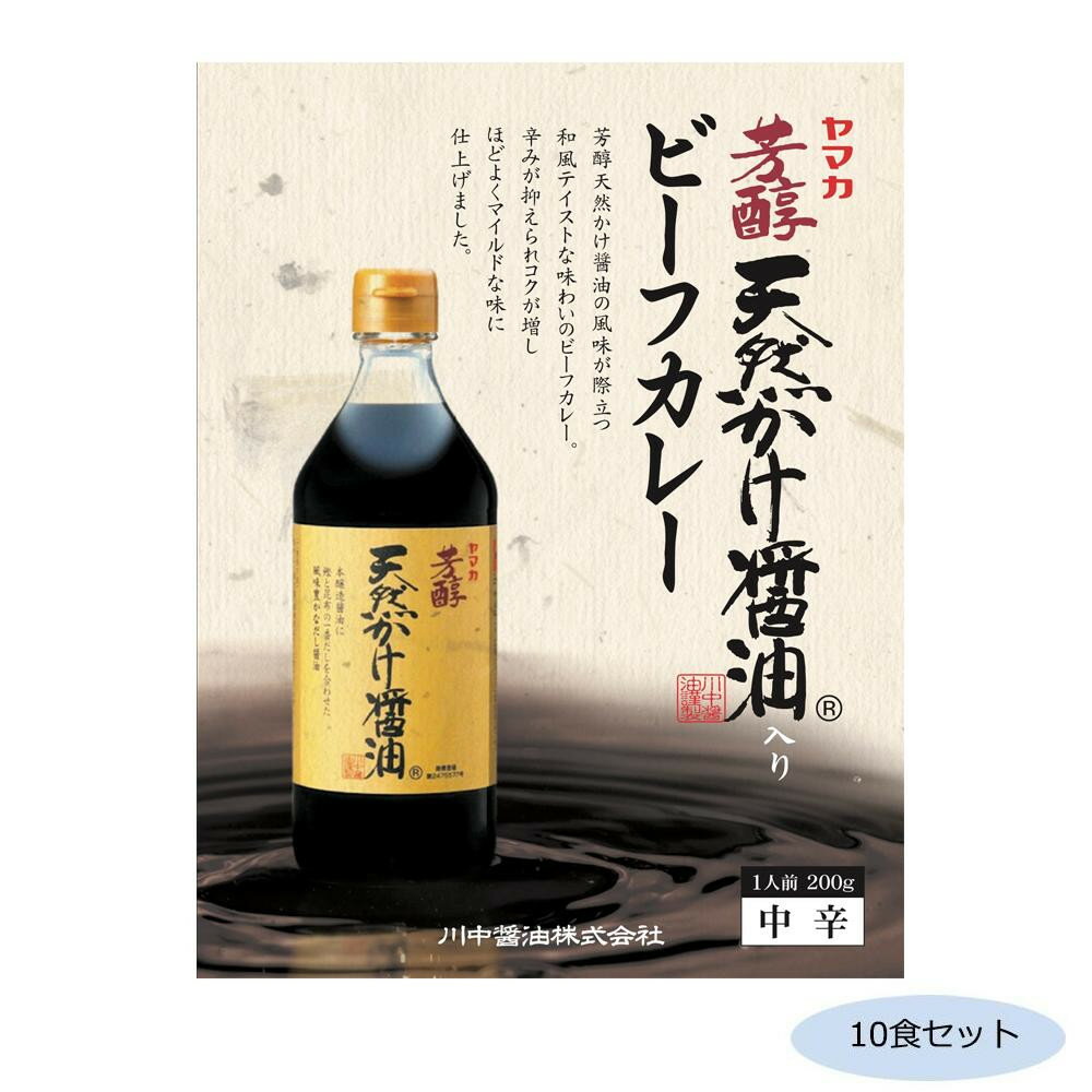 【クーポン配布中】ご当地カレー 広島 川中醤油天然かけ醤油ビーフカレー 中辛 10食セット