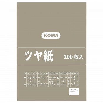 【クーポン配布中】ツヤ紙 100枚入 ねずみ TY-13 1セット