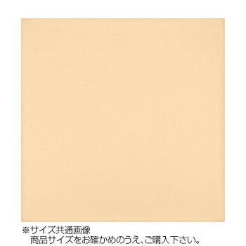 【ポイント20倍】トレシー カラークロス 24×24cm A2424-YOO G-48 ピーチ