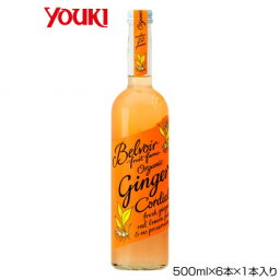 【クーポン配布中】YOUKI ユウキ食品 業務用 有機コーディアル ジンジャー 500ml×6本×1本入り 212951