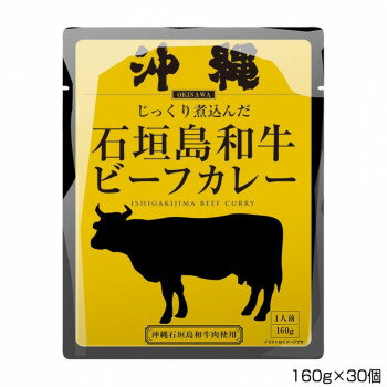 【ポイント20倍】沖縄北谷自然海塩 沖縄石垣島和牛ビーフカレー 160g×30個 P7