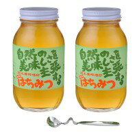 【クーポン配布中】鈴木養蜂場　はちみつ　大瓶2本セット(菜の花1.2kg、レンゲ1.2kg、はちみつスプーン)
