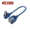 y|Cg20{zϊl 10Zbg USB BtypeL^P[u20(L) USBB-CA20DLX10