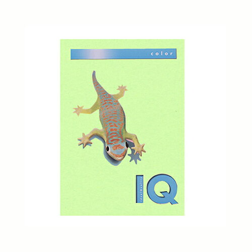 【クーポン配布中&マラソン対象】（まとめ） コピー用紙（カラー用紙） 伊東屋 バイオトップカラー Mグリーン BT806 9003974400167 1冊【×5セット】