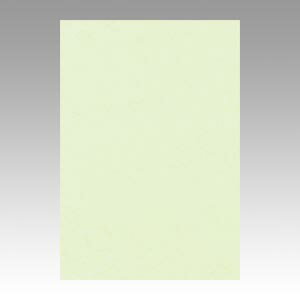 【クーポン配布中】（まとめ） 色画用紙 文運堂 ニューカラーR メロン 8NCR-133 4954022681333 1冊【×10セット】