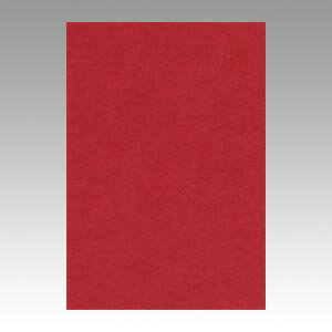 【ポイント20倍】（まとめ） 色画用紙 文運堂 ニューカラーR えんじ色 8NCR-550 4954022685508 1冊【×10セット】