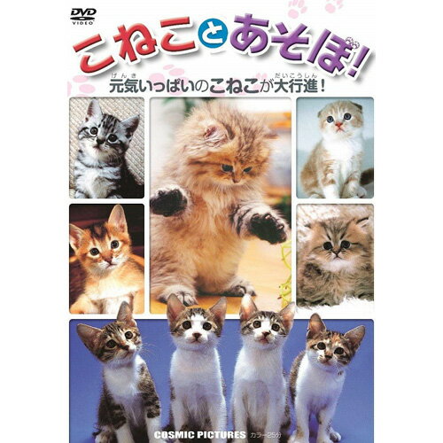 DVD1枚組元気いっぱいのこねこが大集合 かわいいこねこが大行進♪●トールサイズケース+シュリンク包装●重量:105g　●パッケージサイズ:W135×H189×D13mmDVD＞スポーツ＞サッカー＞＞