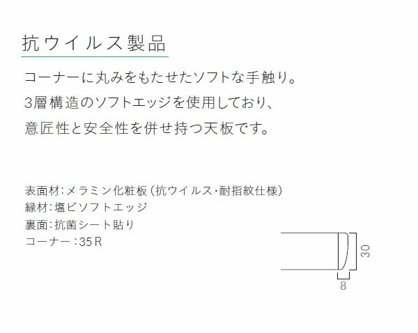 【クーポン配布中】テーブル天板のみ T25 1200×750 業務用家具 送料無料 店舗 施設 コントラクト