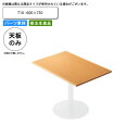 【クーポン配布中】テーブル天板のみ T10 600×750 業務用家具 送料無料 店舗 施設 コントラクト|詳細画像