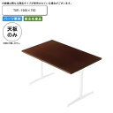 【クーポン配布中】テーブル天板のみ T09 1500×750 業務用家具 送料無料 店舗 施設 コントラクト