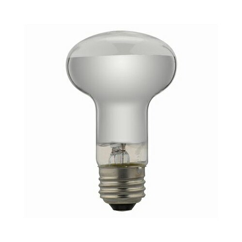 【クーポン配布中】YAZAWA　レフ形白熱ランプ　RF100V38W