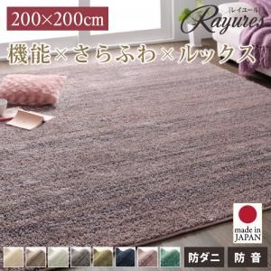 【ポイント20倍】ラグマット 200×200cm【rayures】ダークグレー さらふわ国産ミックスシャギーラグ【rayures】レイユール【代引不可】