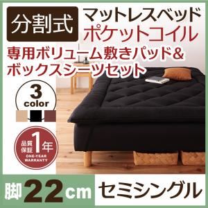 【ポイント20倍】脚付きマットレスベッド セミシング