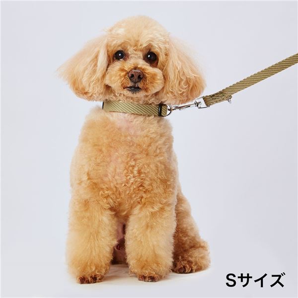 【クーポン配布中】犬用引き紐 ソフトスキップリード S グリーン （ペット用品・犬用） 2