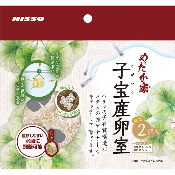 ڥݥ20ܡۡʤޤȤˤȻ ߥ 2ڡ5åȡ (Ѿ޵/)