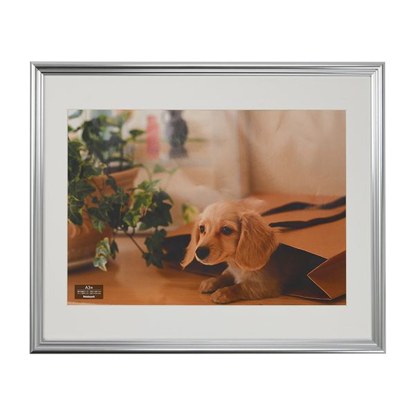 【ポイント20倍】樹脂製写真額 A3判 シルバー F-SP-113-SV