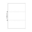 【ポイント20倍】(まとめ) ヒサゴ マルチプリンタ帳票複写A4白紙3面 100枚入 【×2セット】(2)