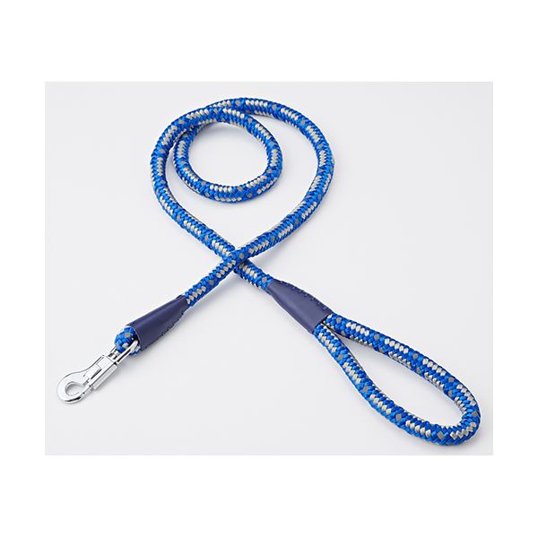 【クーポン配布中】（まとめ）NEW ネオンリード 12mm ブルー【×2セット】 (犬用品/リード)
