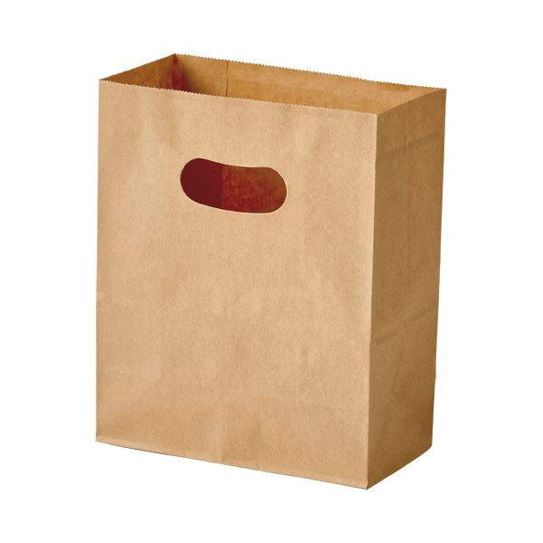 【ポイント20倍】(まとめ)パックタケヤマ 手提げ紙袋 イーグリップ茶無地 S XZT52023 1パック(50枚)【×10セット】