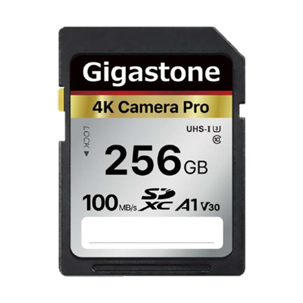 【クーポン配布中】（まとめ）Gigastone SDXCカード 256GB V30 UHS-1 U3 A1 GJSX-256GV3A1 1枚【×3セット】