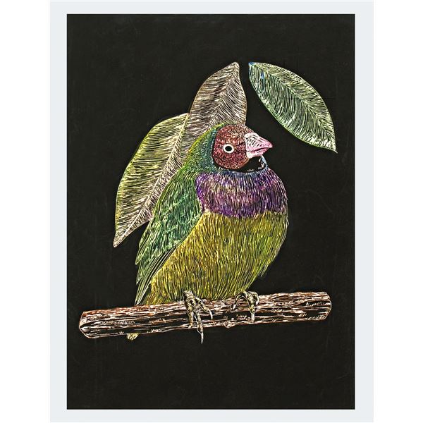 【ポイント20倍】(まとめ)アーテック スクラッチボードE× スクレーパー 【×15セット】