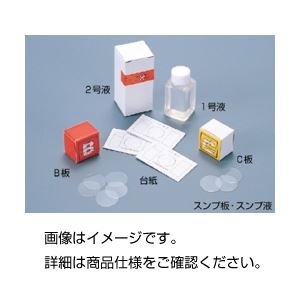 【クーポン配布中】（まとめ）スンプ台紙 （50枚）【×10セット】