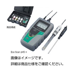 【ポイント20倍】pH計 Eco ScanpH5+