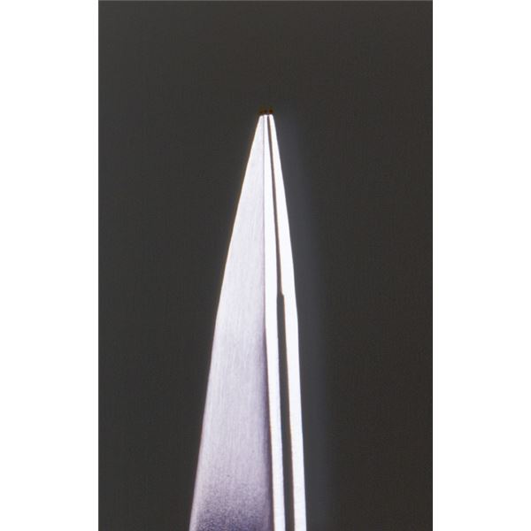 【最大半額！令和セール】貝印 KC1300 化粧ボトル 30ml