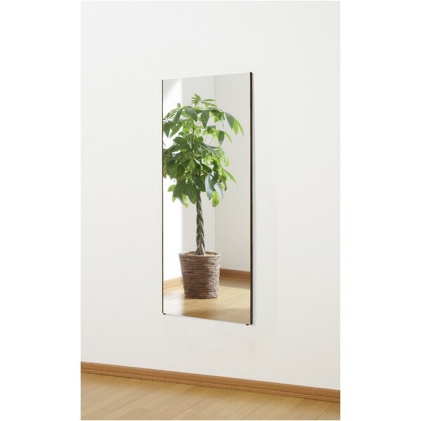【マラソンでP最大46.5倍】割れない 姿見鏡 【ショート 40×100×2cm シャンパンゴールド】 日本製 プロ仕様 両サイド飾縁(幅0.5cm) 『REFEX リフェクス』