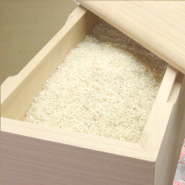 桐の米びつ/ライスストッカー 【10kg用/無地】 泉州留河 日本製