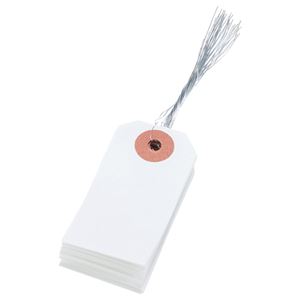 【ブラックフライデーでP最大47倍】（まとめ） 大明商事 針金荷札 6号 30×60mm HN6-100 1パック（100枚） 【×20セット】