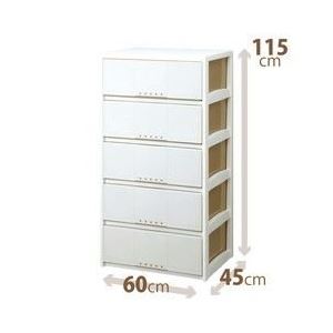 【ブラックフライデーでP最大47倍】ルームケース/多目的収納ケース 【5段/カプチーノ】 幅60cm×奥行45cm 『プロフィックス』 日本製