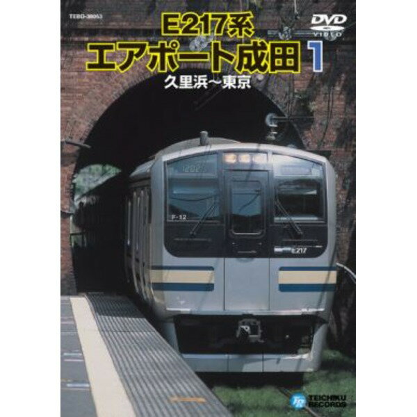 【クーポン配布中&スーパーSALE対象】電車映像 E217系