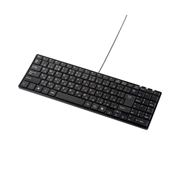【ポイント20倍】(まとめ)サンワサプライ USBスリムキーボード SKB-SL17BKN【×2セット】