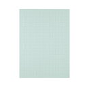 【クーポン配布中】(まとめ) TANOSEE 模造紙(プルタイプ) 本体 788×1085mm 50mm方眼 ブルー 1ケース(20枚) 【×5セット】