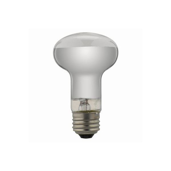 【ポイント20倍】(まとめ)YAZAWA レフ形白熱ランプ RF100V38W【×10セット】