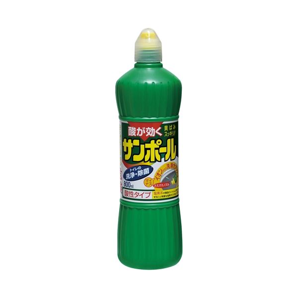 【ポイント20倍】（まとめ） 大日本除蟲菊 サンポール 800ml【×10セット】