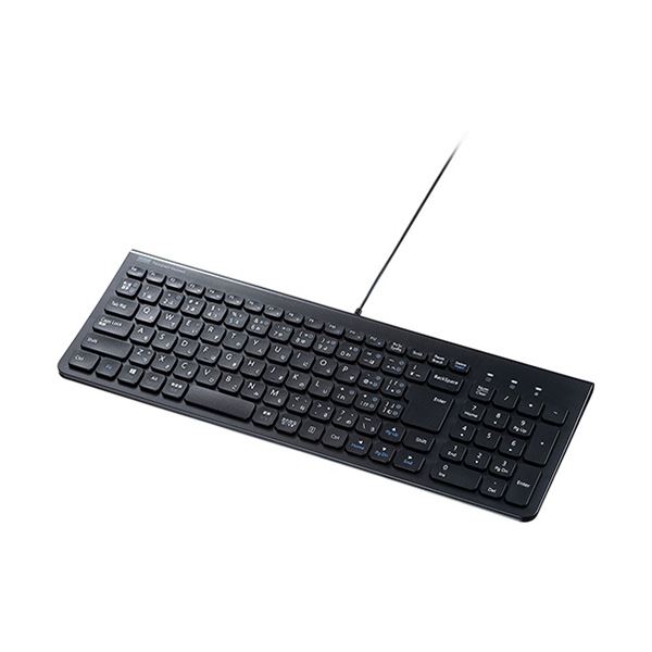 【ポイント20倍】サンワサプライ USBType-Cスリムキーボード ブラック テンキー付き SKB-SL31CBK 1台