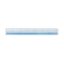 【ポイント20倍】(まとめ) レイメイ藤井 見やすい方眼定規 36cm AJH408 1個 【×10セット】
