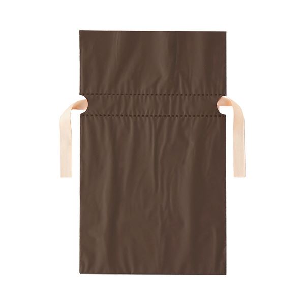 【ポイント20倍】(まとめ)店研創意 ストア・エキスプレス 梨地リボン付ギフトバッグ ブラウン 17cm 1パック(20枚) 【×5セット】