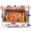 【訳あり価格で超お得!!!】カナダ産 脚折れちゃったボイルズワイガニ姿3kg（5～7尾）【代引不可】 3