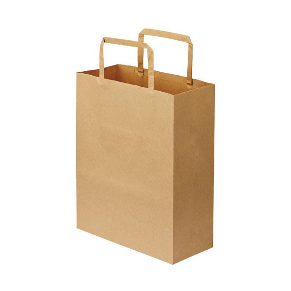 ڥݥ20ܡۡʤޤȤTANOSEE  ʿɳ þ襳200ߥ245ߥޥ90mm ̵ 1ѥå50ˡڡ10åȡ