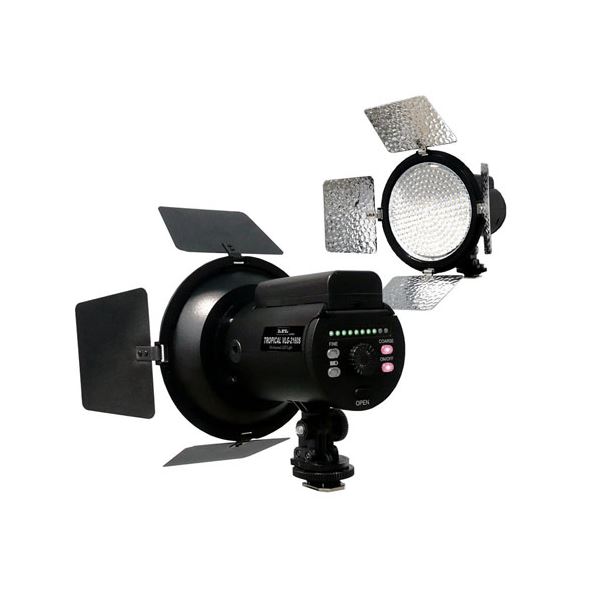 【ポイント20倍】LPL LEDトロピカル VLG-2160S