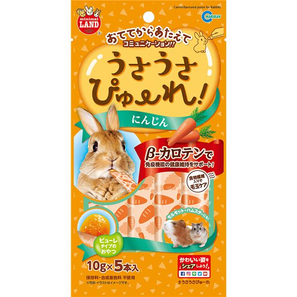 【ポイント20倍】（まとめ） うさうさぴゅーれ にんじん 10g×5本入 （ペット用品） 【×10セット】【代引不可】