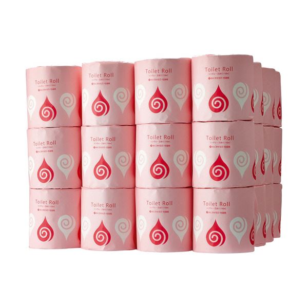【クーポン配布中&スーパーSALE対象】TANOSEE トイレットペーパー（パルプ100%）個包装・水に流せる芯 シングル 110m 1セット（72ロール：24ロール×3ケース）