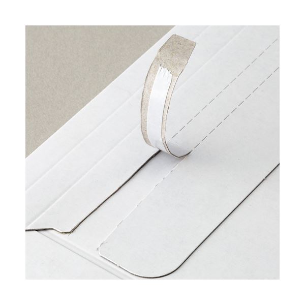 菅公工業 柾のし袋 千円型 御布施ノ2141 1セット(100枚:10枚×10パック)