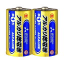 【ポイント20倍】三菱電機 アルカリ乾電池 単1形 LR20N/2S 1セット（20本：2本×10パック）