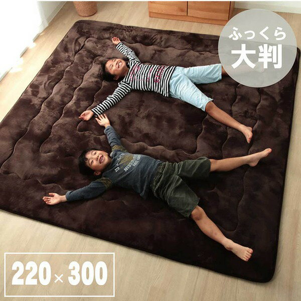 【クーポン配布中】大判 こたつ敷布団/ラグマット 【大 ブラウン 約220×300cm】 長方形 洗える 弾力性 クッション性 〔リビング〕【代引不可】