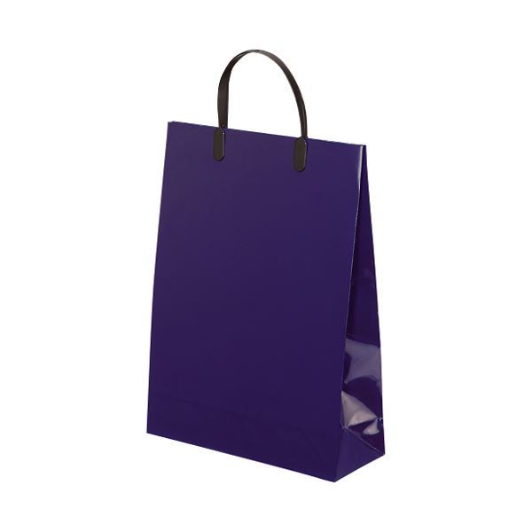 ڥݥ20ܡ(ޤȤ˥ ߥ͡ȥХå 165   5ڡ5åȡ