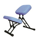 学習椅子/ワークチェア 【ブルー×ブラック】 幅440mm 日本製 折り畳み スチールパイプ 『セブンポーズチェア』【代引不可】